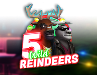 5 Wild Reindeers